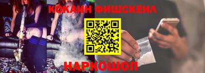 СК Гатчина