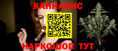 СК Гатчина
