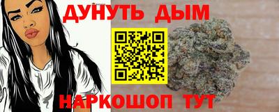 СК Гатчина