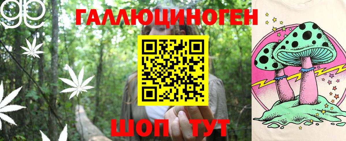 Галлюциногенные грибы Cubensis Мариинск