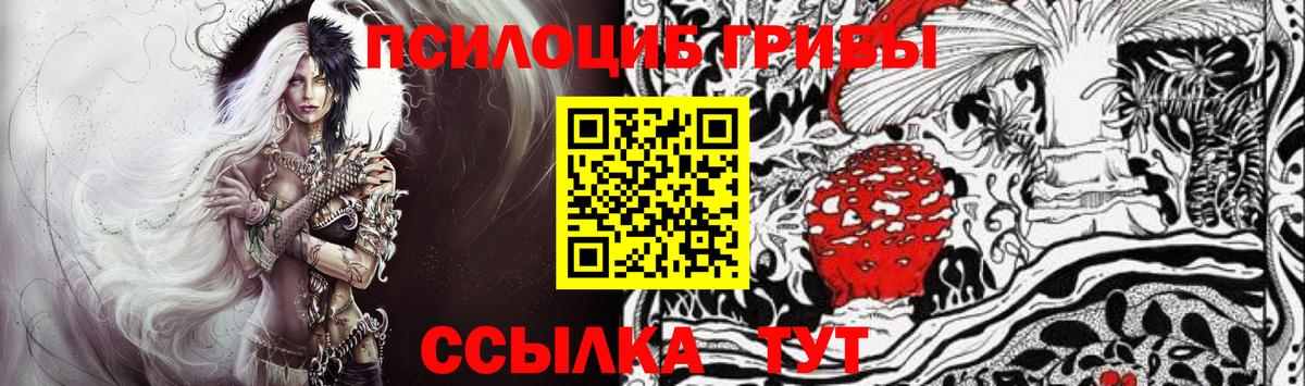 Псилоцибиновые грибы Magic Shrooms  Галлюциногенные грибы GOLDEN TEACHER  Мариинск  Вход с VPN 